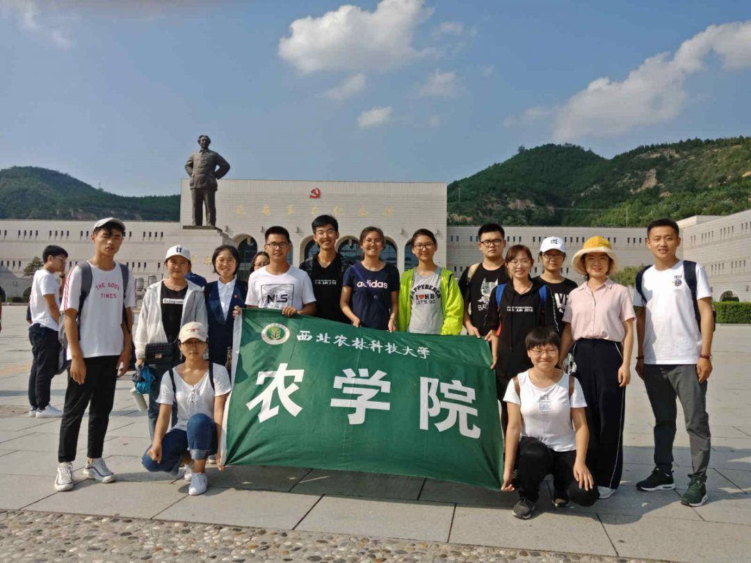 奇妙萌可第三季在哪儿看?游戏画面